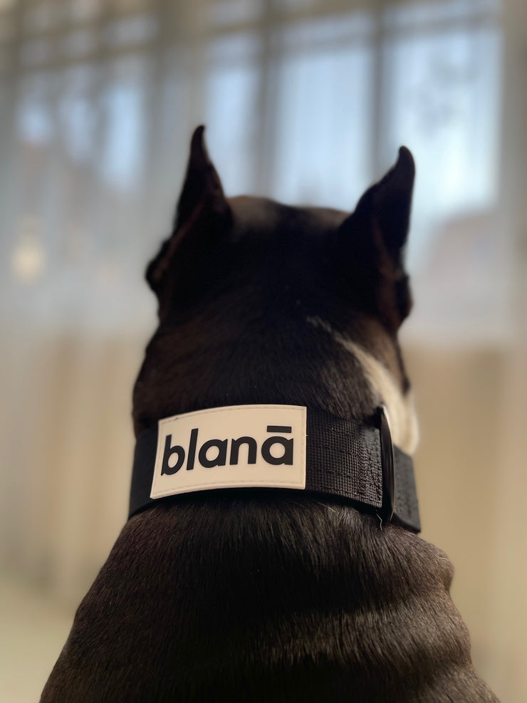 "Best Friend" Black Paw Collar